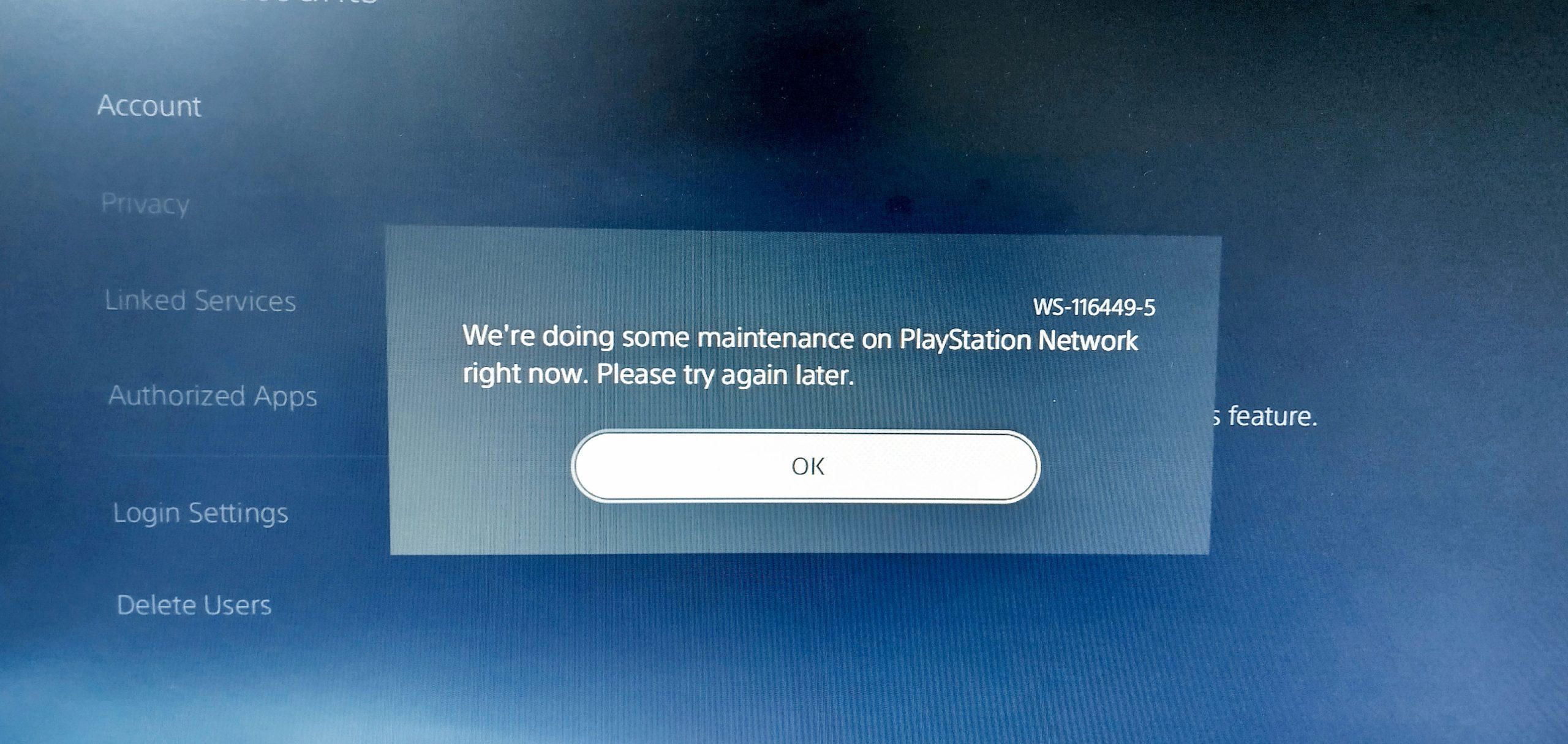 Maintenance Playstaion Network